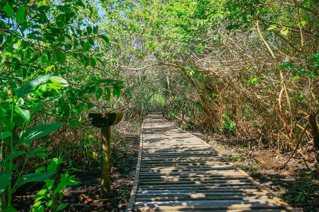 Pousada Ecologica Bangalo De Praia Itacimirim Δωμάτιο φωτογραφία